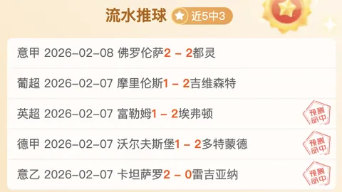 水晶宫持续选拔新帅，霍奇森留任期望依旧